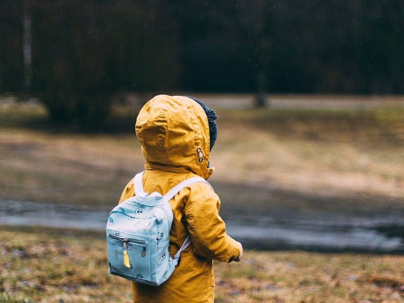 ΠΠ°ΡΡΠΈΠ½Π° ΠΌΠ°ΡΠ»ΠΎΠΌ ΠΏΠ΅ΠΉΠ·Π°ΠΆ ΡΡΡΠ½Π°Ρ ΡΠ°Π±ΠΎΡΠ° 80x60